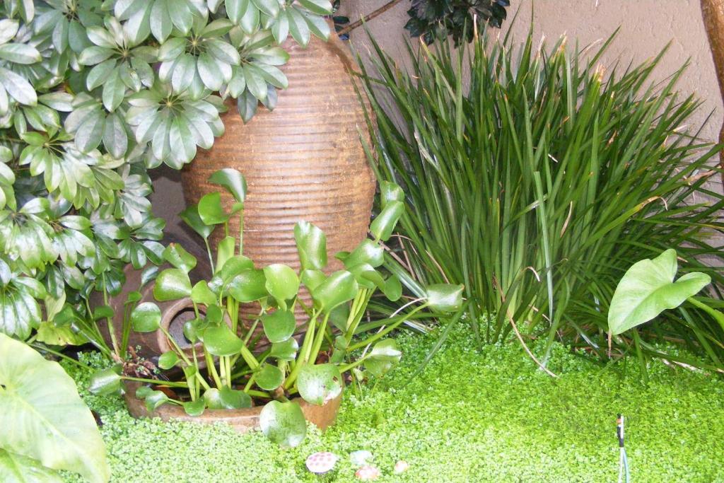 Linkside 2 Self-Catering Hotell Mossel Bay Exteriör bild
